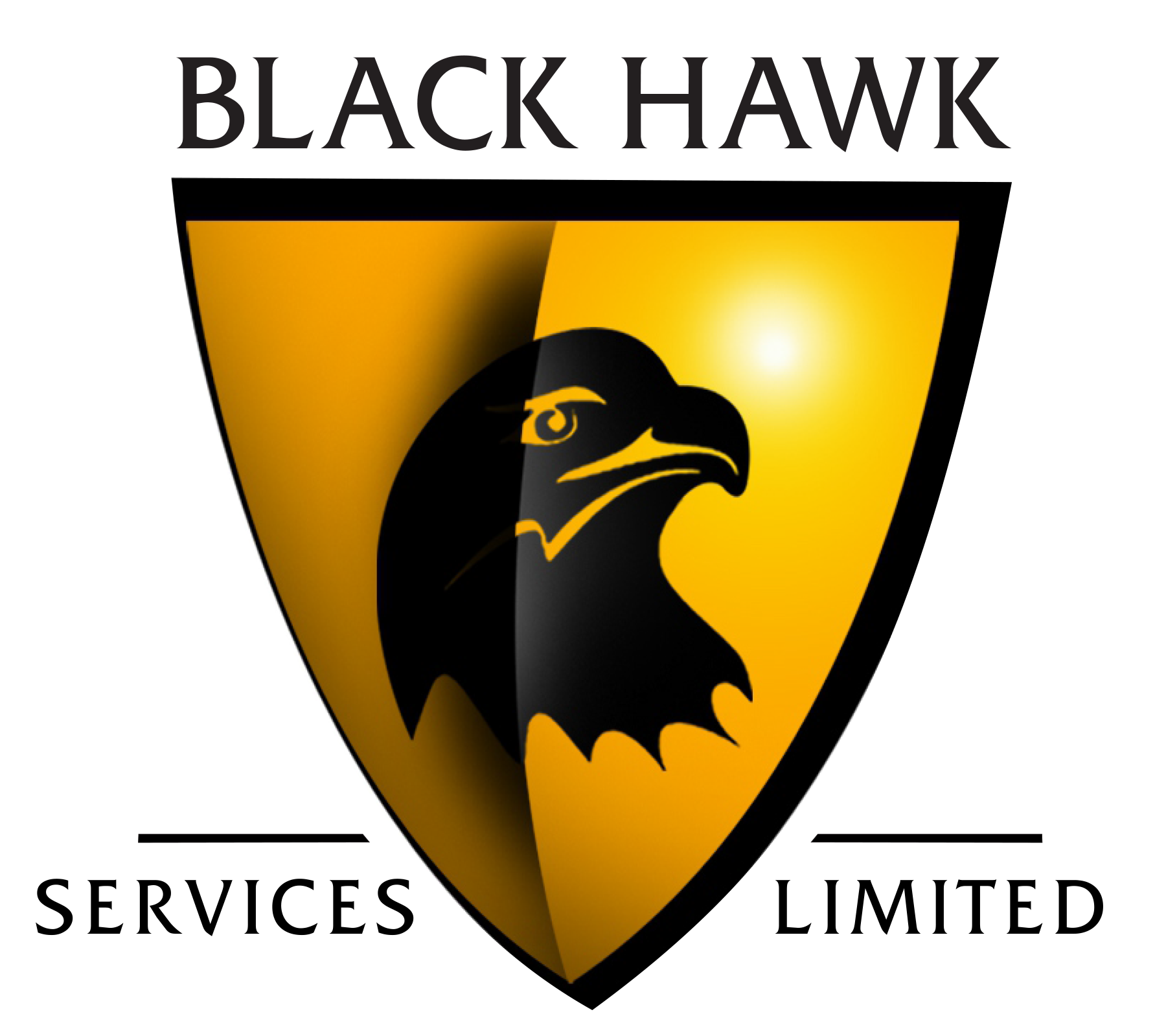 Black Hawk Security Service